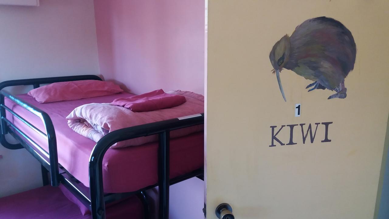Annies Nirvana Lodge Backpackers 타카카 외부 사진