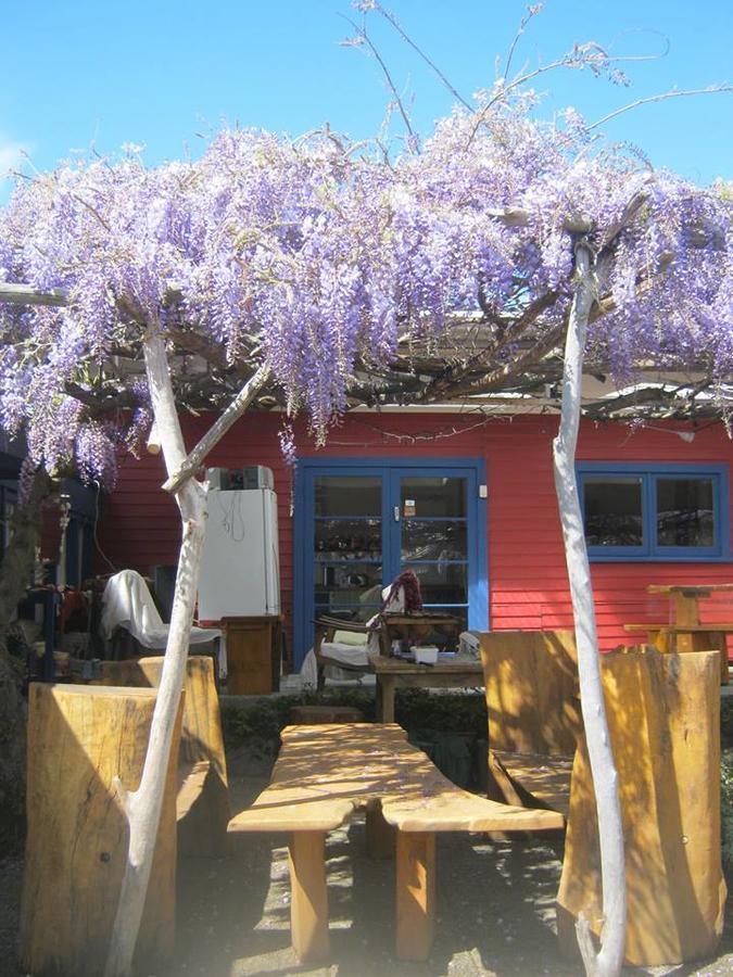 Annies Nirvana Lodge Backpackers 타카카 외부 사진